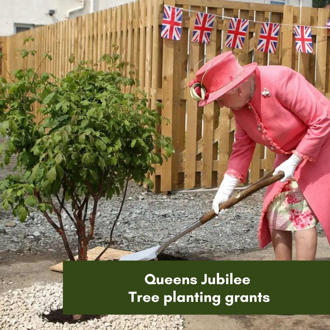 HRLN Queens Jubilee Tree planting grants