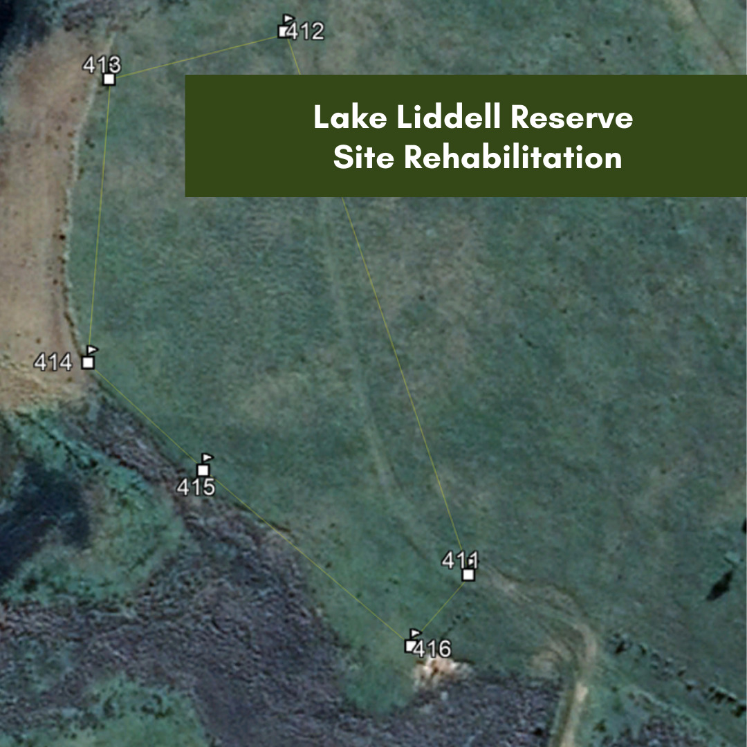 Lake Liddell Reserve Site Rehabilitation