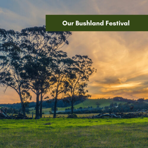Our Bushland Festival