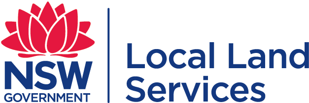 LLS Logo - Coloured (JPEG)