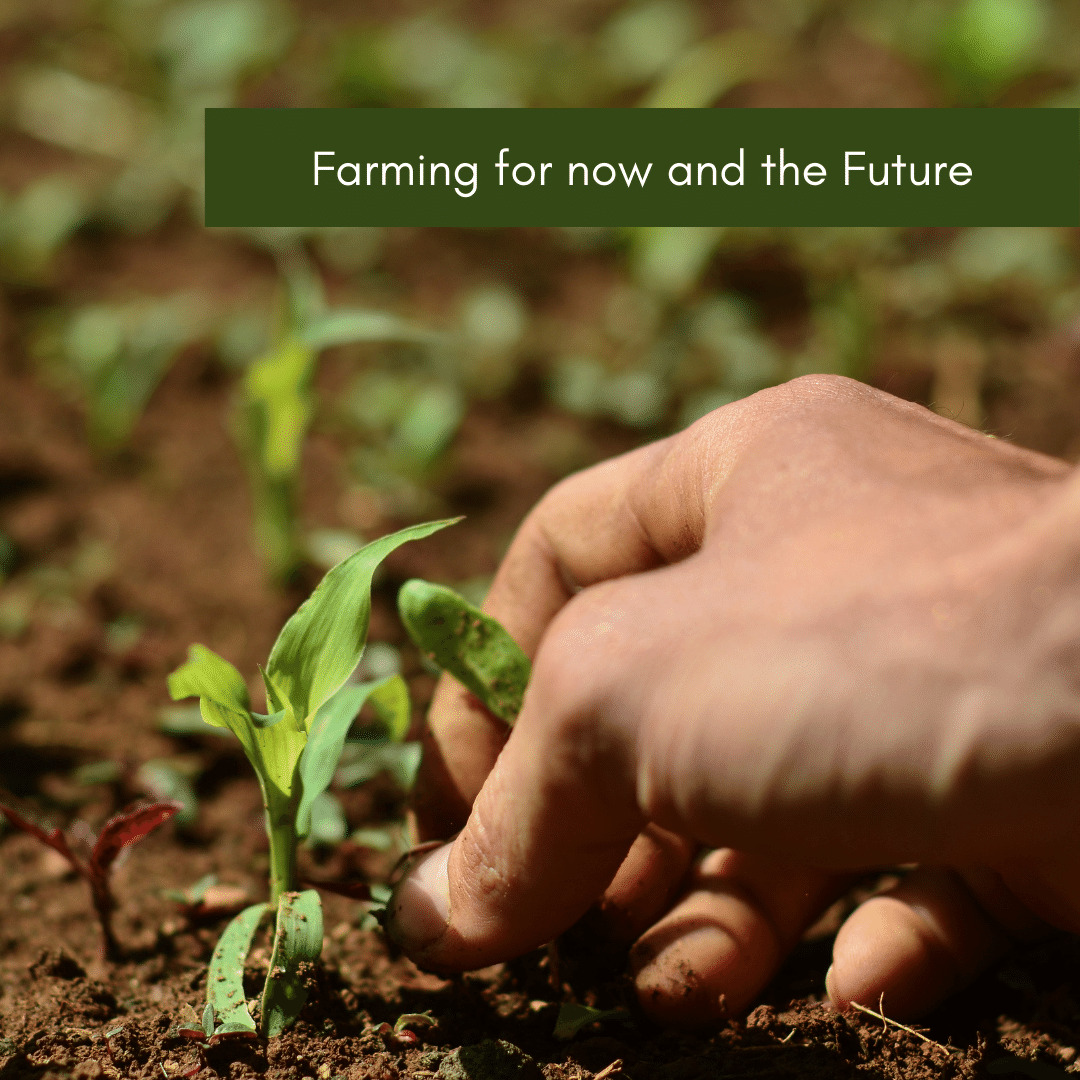 Farming for now and the Future