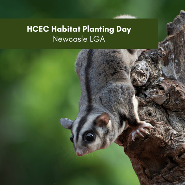 HCEC Habitat Planting Day