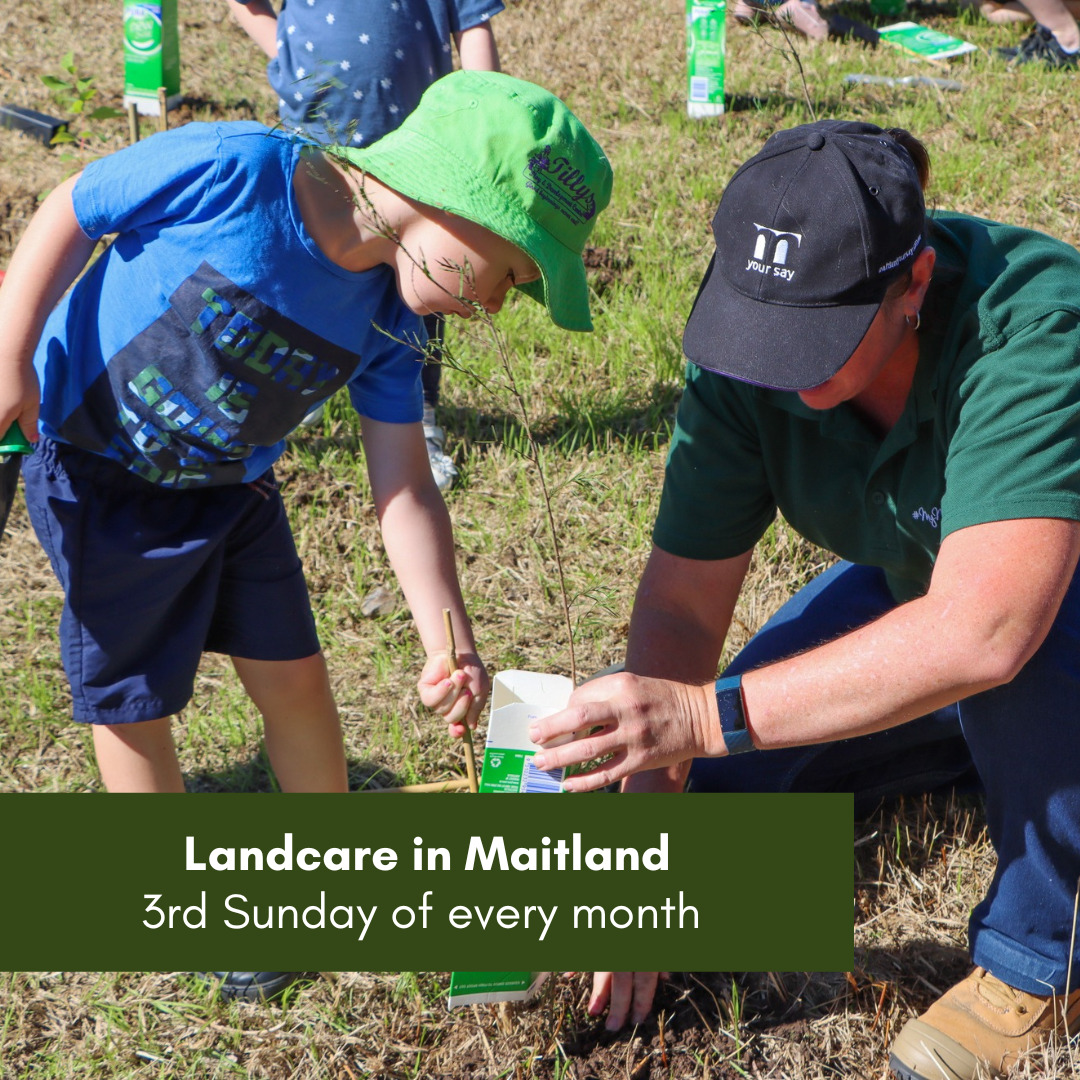 HRLN Landcare in Maitland