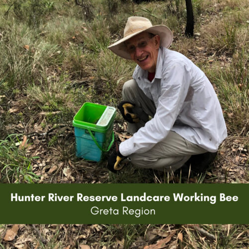 Hunter River Reserve Landcare Working Bee