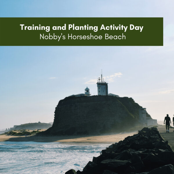 2022 Landcare Training and Planting Activity Day at Nobbys Horseshoe Beach