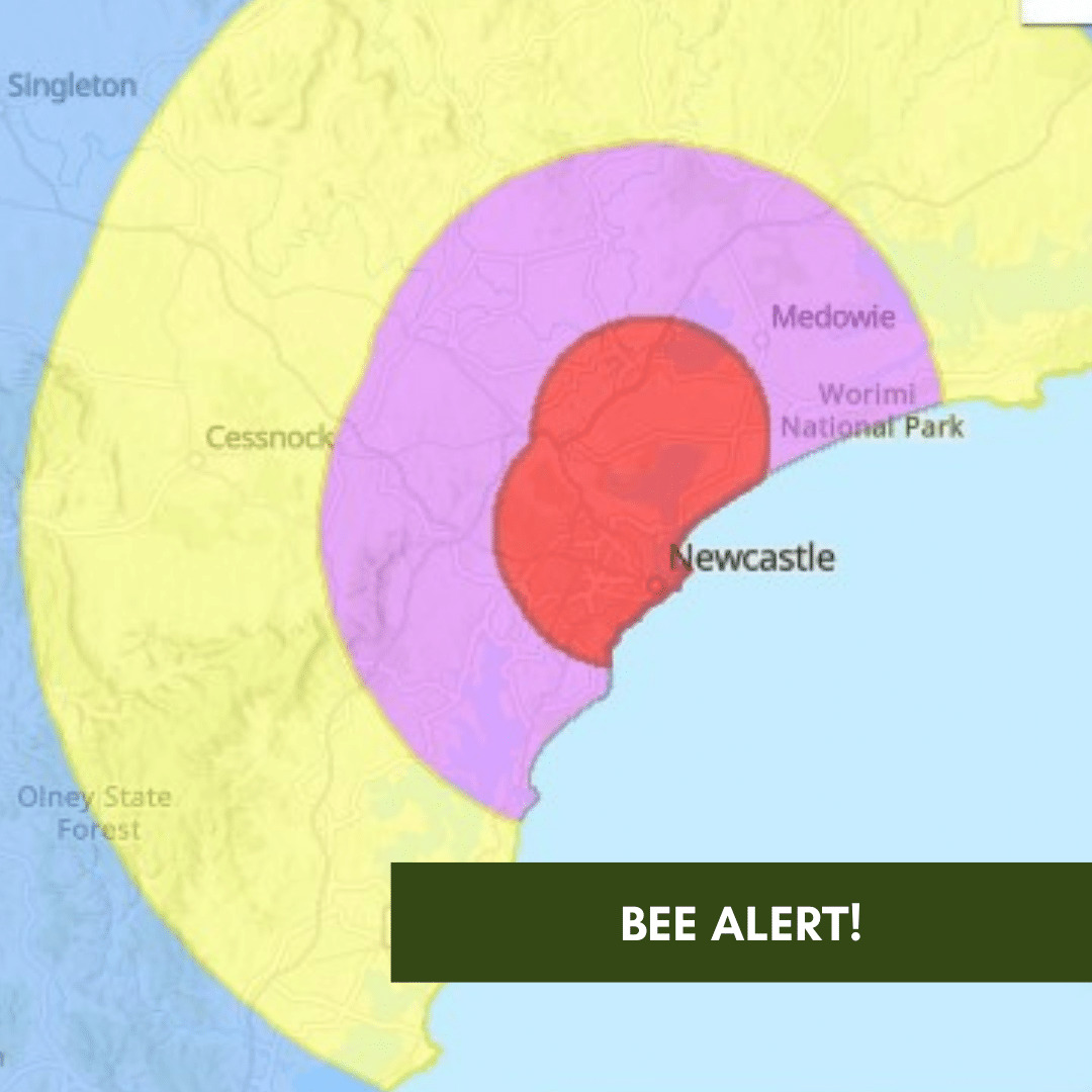HRLN Bee Alert