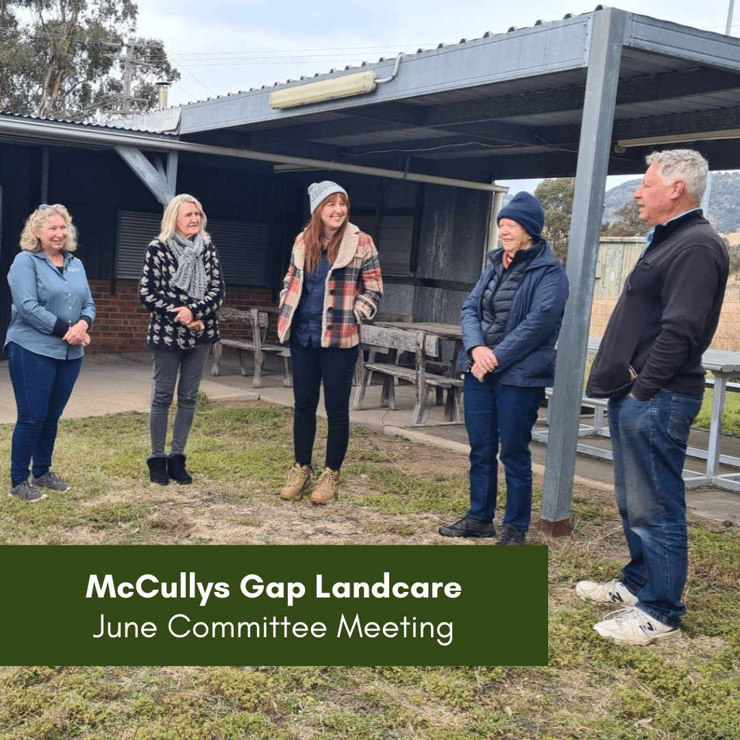 McCullys Gap Landcare - June Committee meeting
