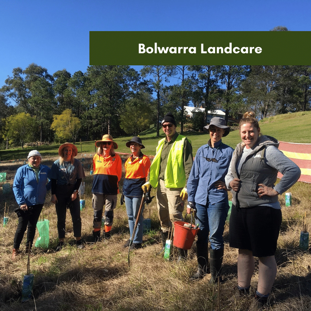 Bolwarra Landcare