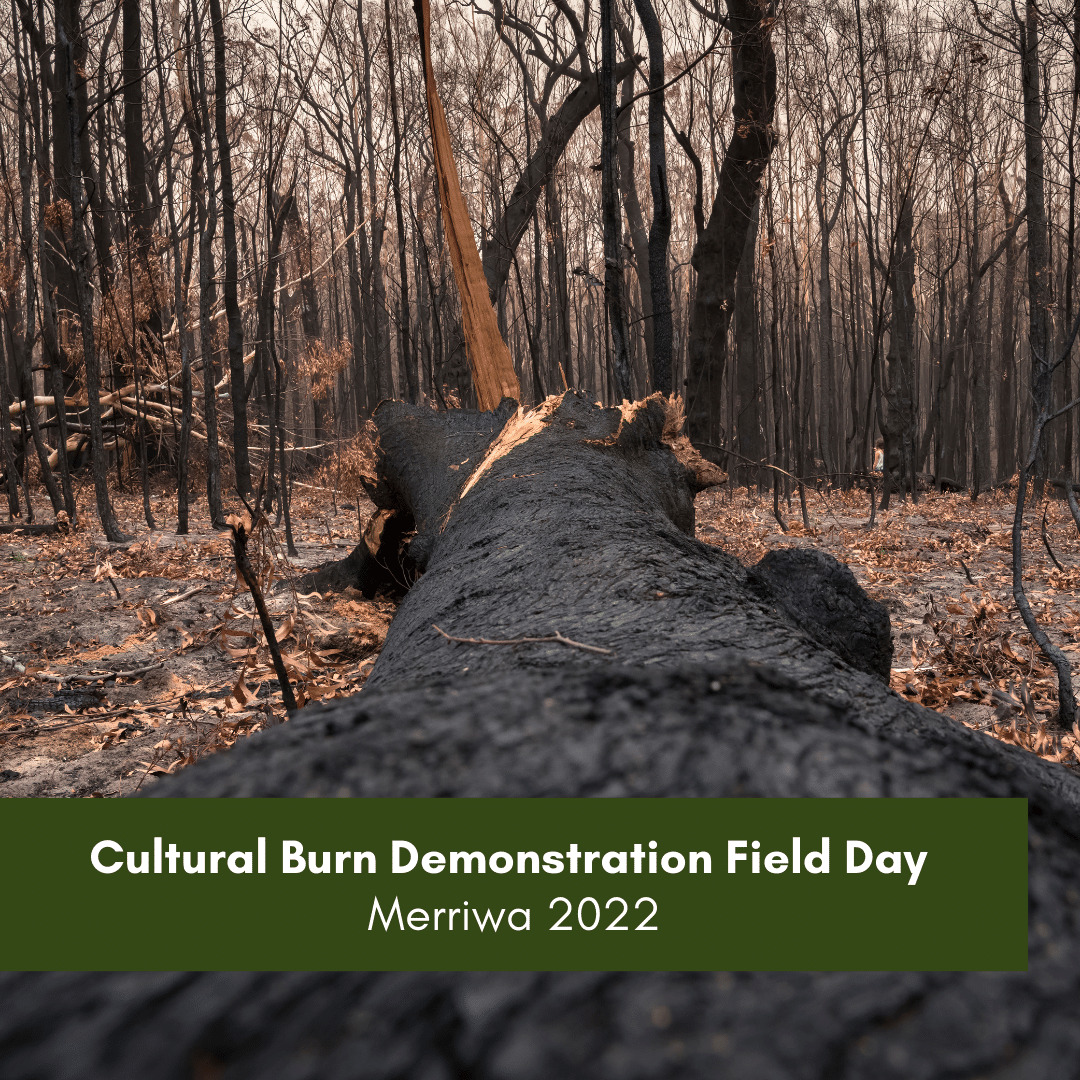 Cultural Burn Demonstration Field Day August 2022
