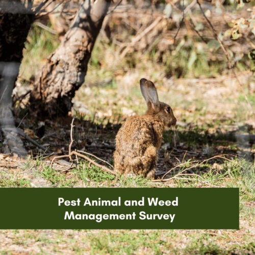 Pest Animal and Weed Management Survey