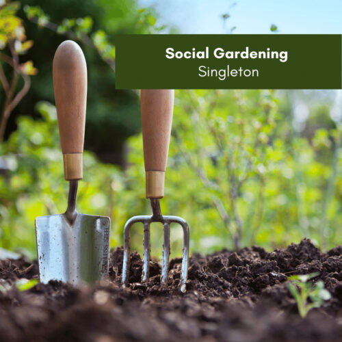 Social Gardening Singleton