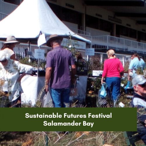 Sustainable Futures Festival
