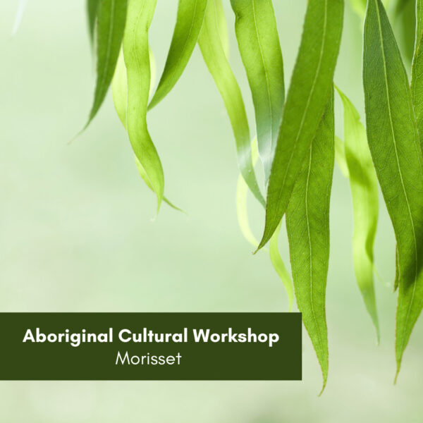 Aboriginal Cultural Workshop