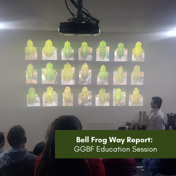 Bell Frog Way Report – GGBF Education Session