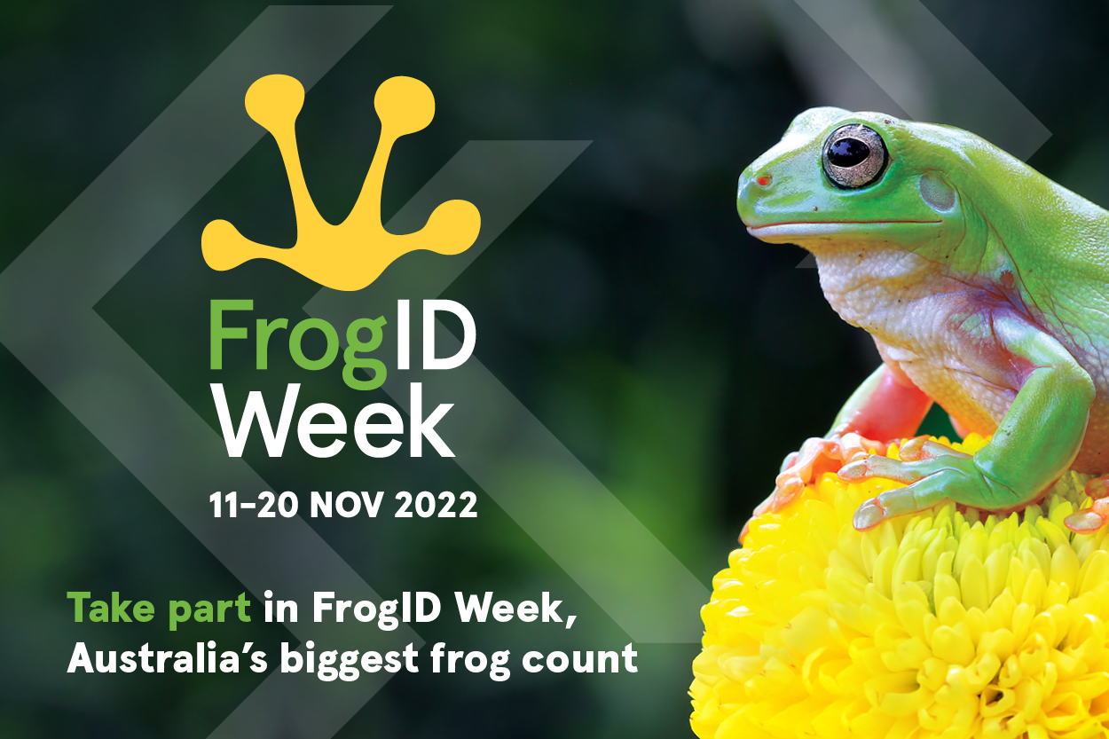 FrogID Week 2022 EDM assets