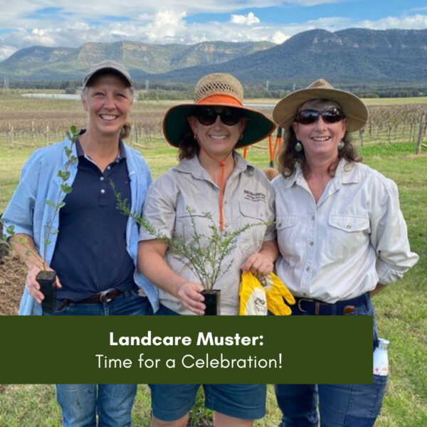 Landcare Muster – Time for a Celebration!