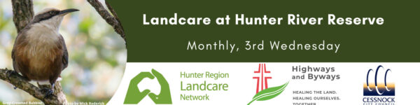 Landcare at Hunter River Reserve-Banner