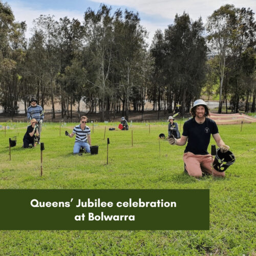 Queens’ Jubilee celebration at Bolwarra
