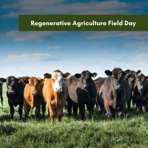 Regenerative Agriculture Field Day
