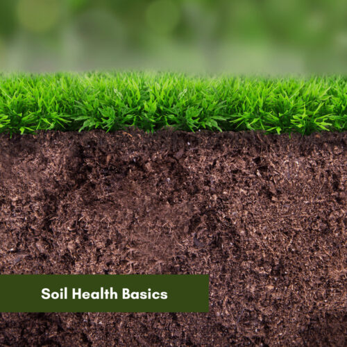 Soil Health Basics