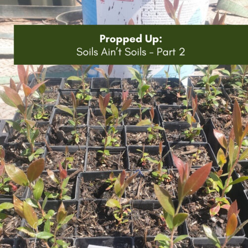 Propped Up: Soils Ain’t Soils – Part 2
