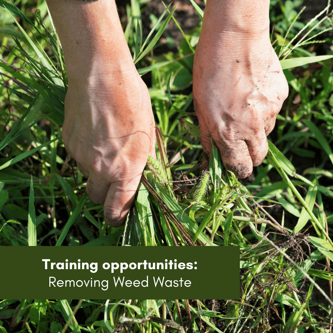 Training opportunities Removing Weed Waste
