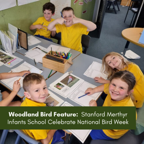 Woodland Bird Feature:  Stanford Merthyr Infants School Celebrate National Bird Week