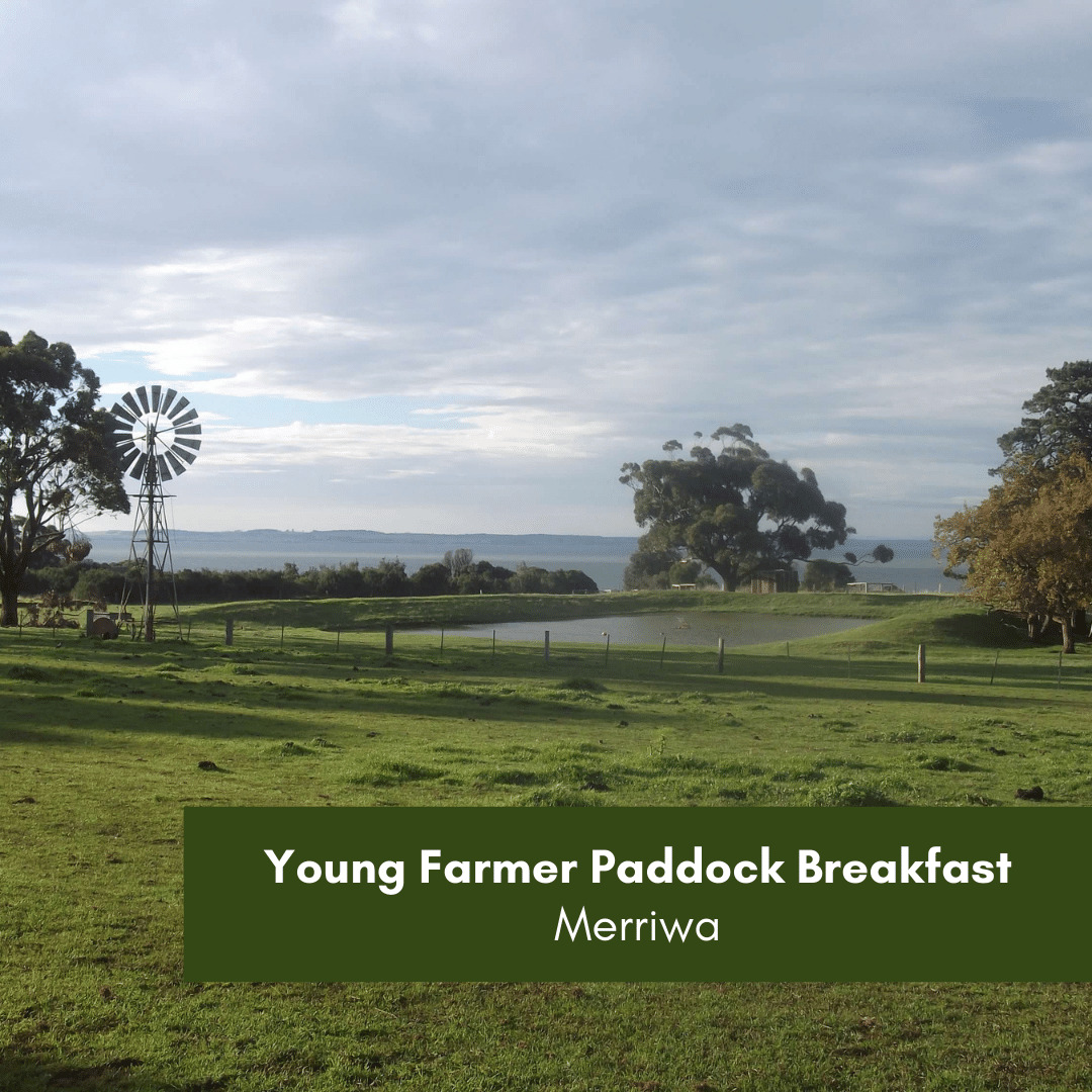 Young Farmer Paddock Breakfast Merriwa