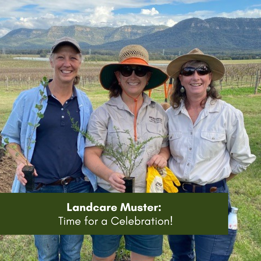 Landcare-Muster-Time-for-a-Celebration-1