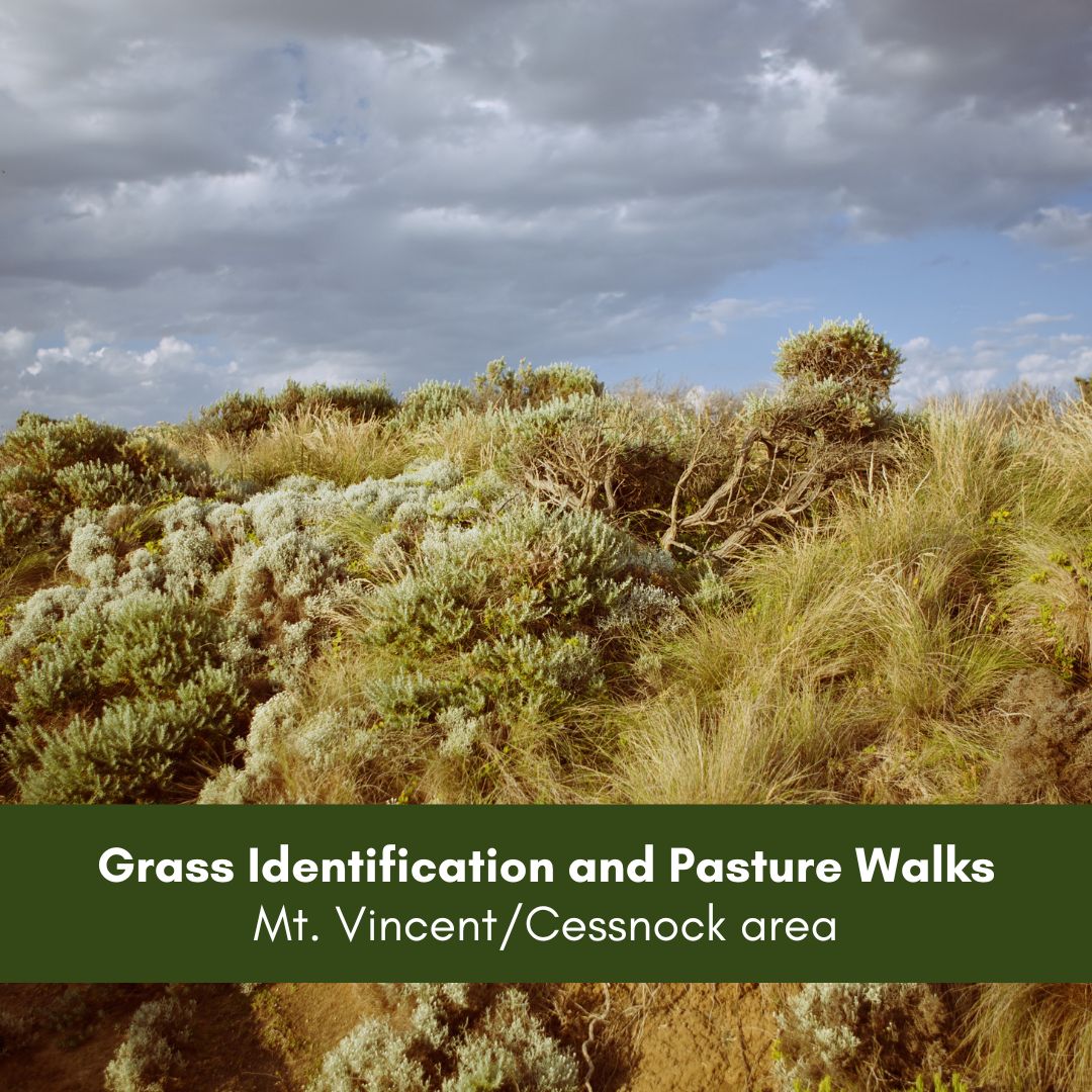 Grass identification and pasture walks