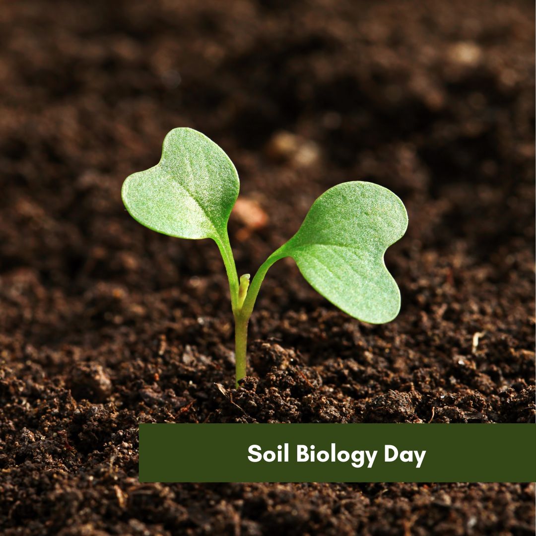 Soil Biology Day