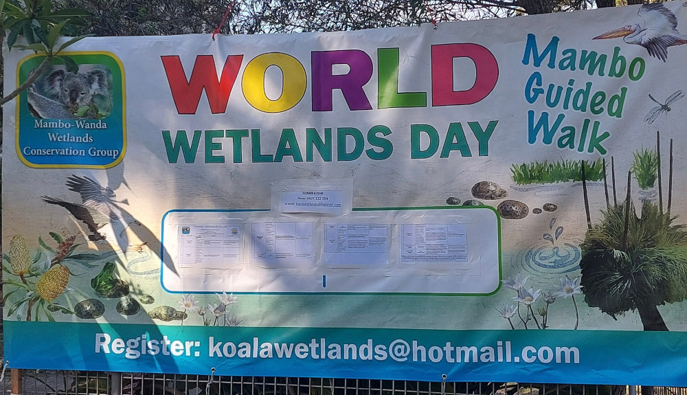 mambo-wanda-wetlands-banner