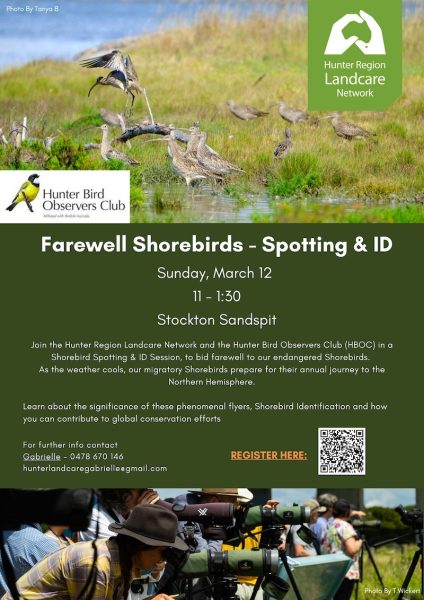 2023 March 12 Farewell Shorebirds Flyer