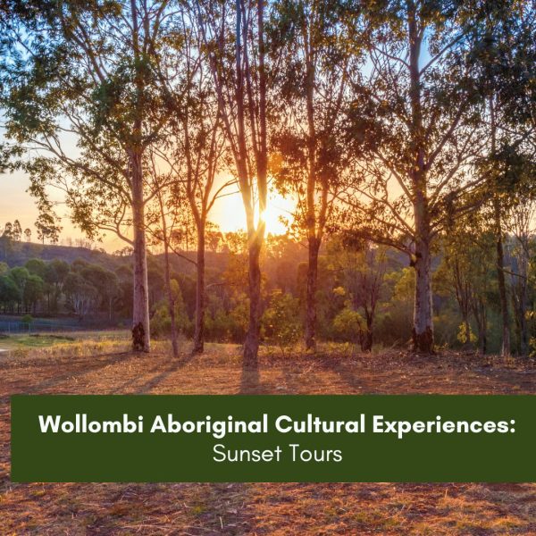 Wollombi Aboriginal Cultural Experiences – Sunset Tours