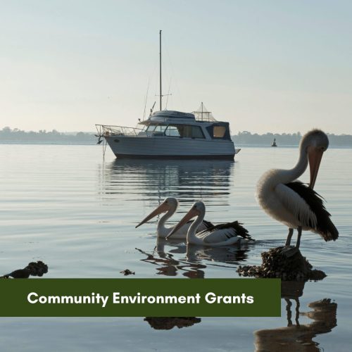 Community Environment Grants