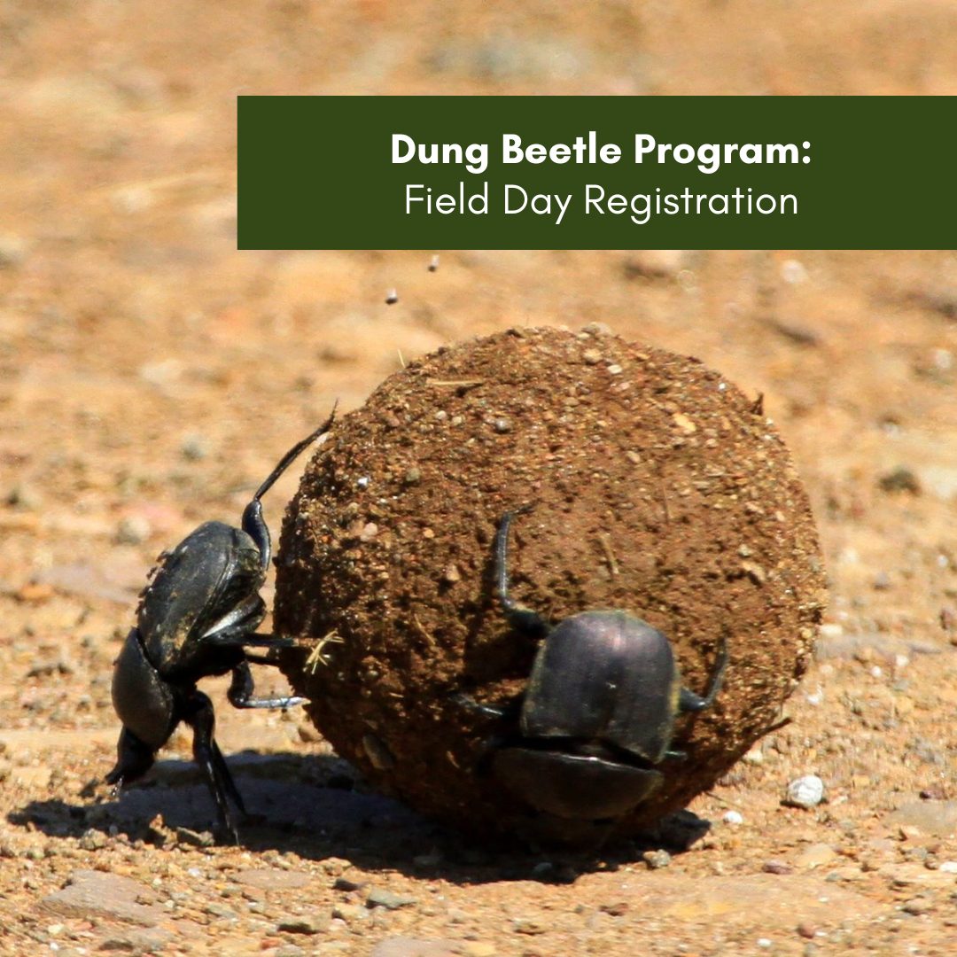 Dung Beetle Program - Field Day Registration