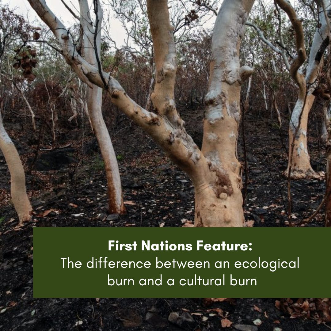 First Nations Feature - Hunter Region Landcare