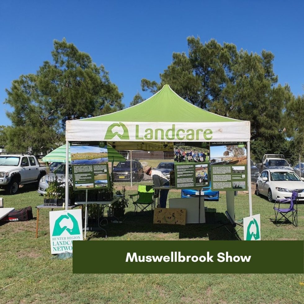 Muswellbrook Show Hunter Region Landcare Network   Muswellbrook Show 980x980 