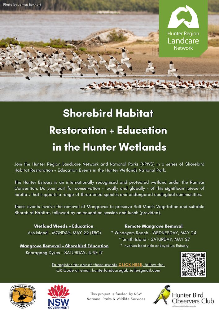 Mangrove Events Hunter Wetlands NP Flyer copy