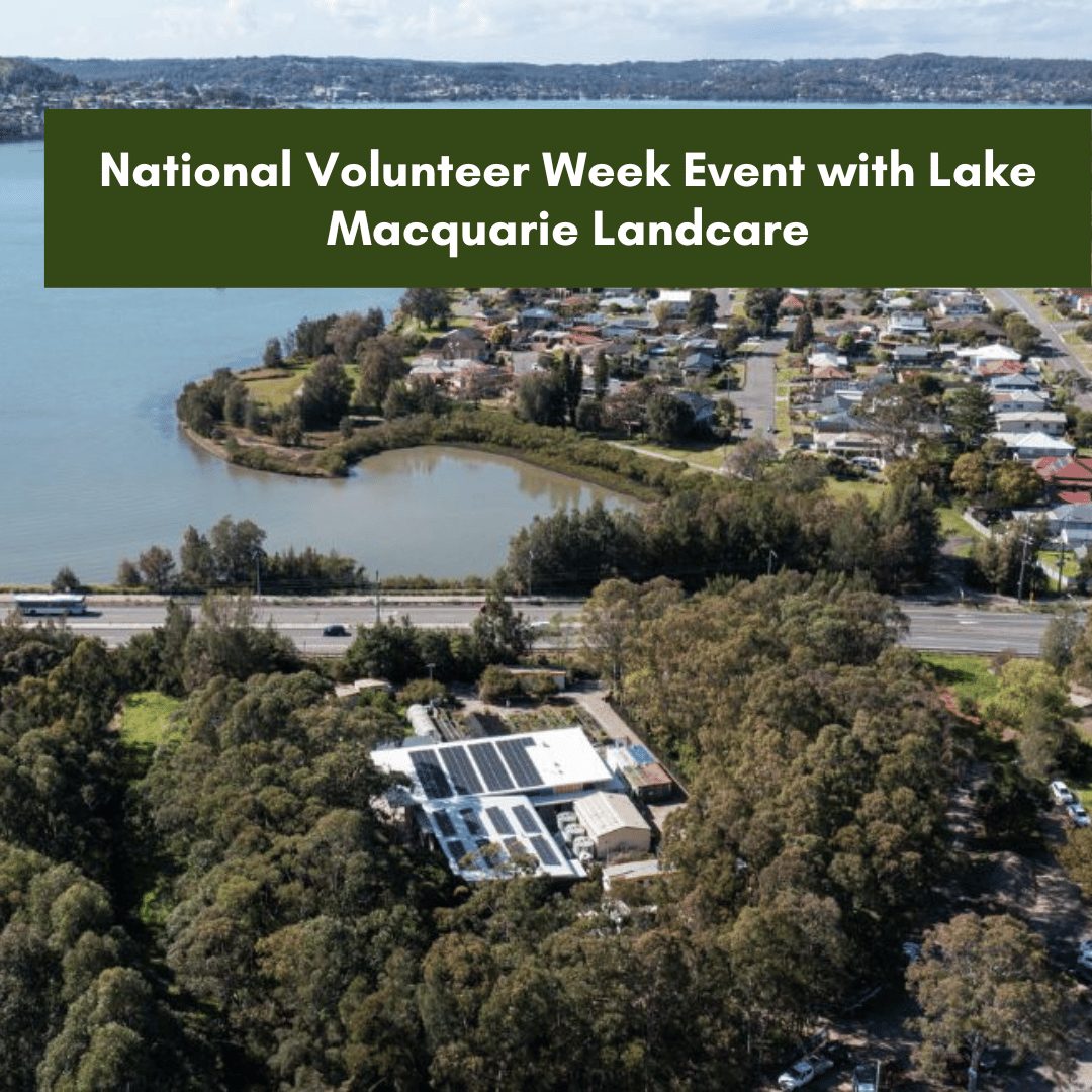 National Volunteer Week Event with Lake Macquarie Landcare