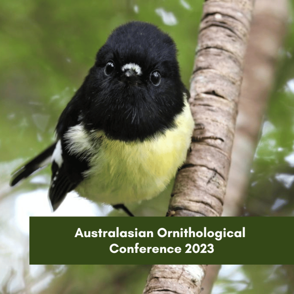 Australasian Ornithological Conference 2023
