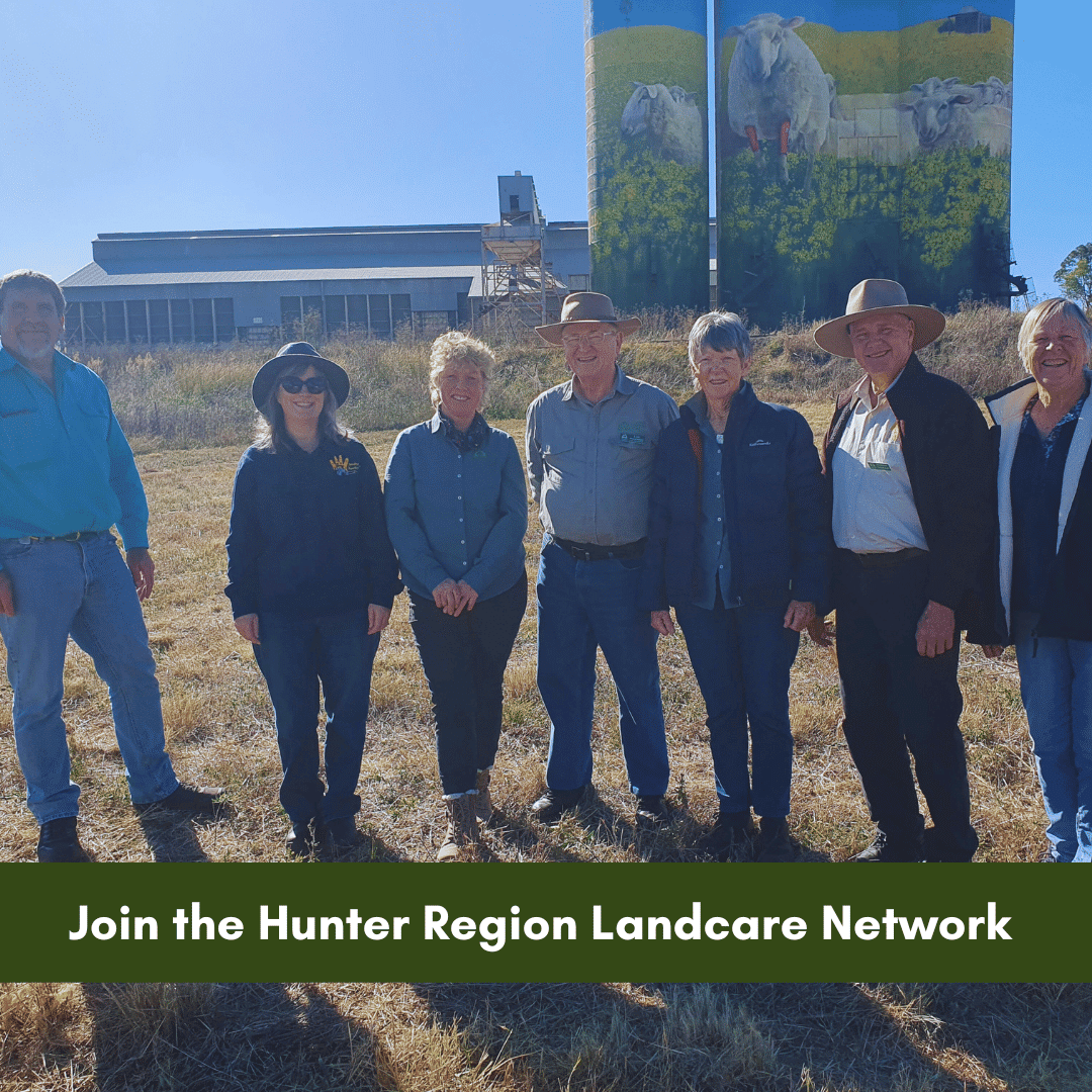 Join the Hunter Region Landcare Network