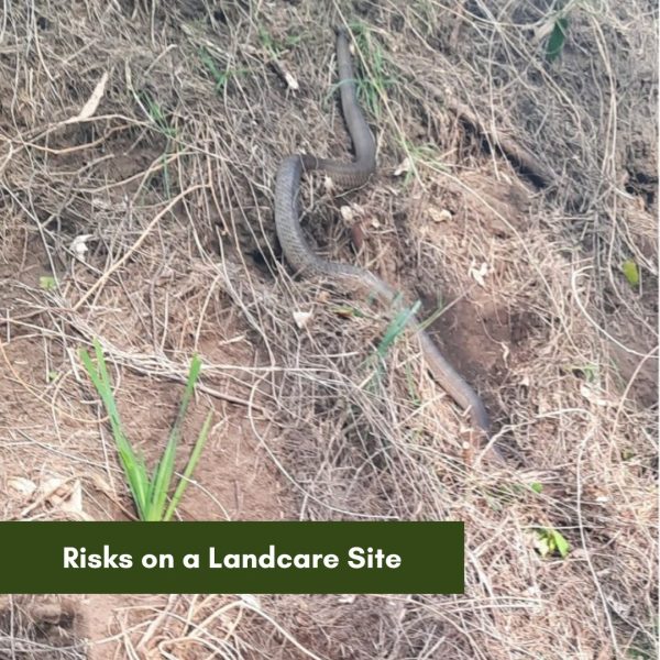 Reminder to be aware of the risks at your Landcare site