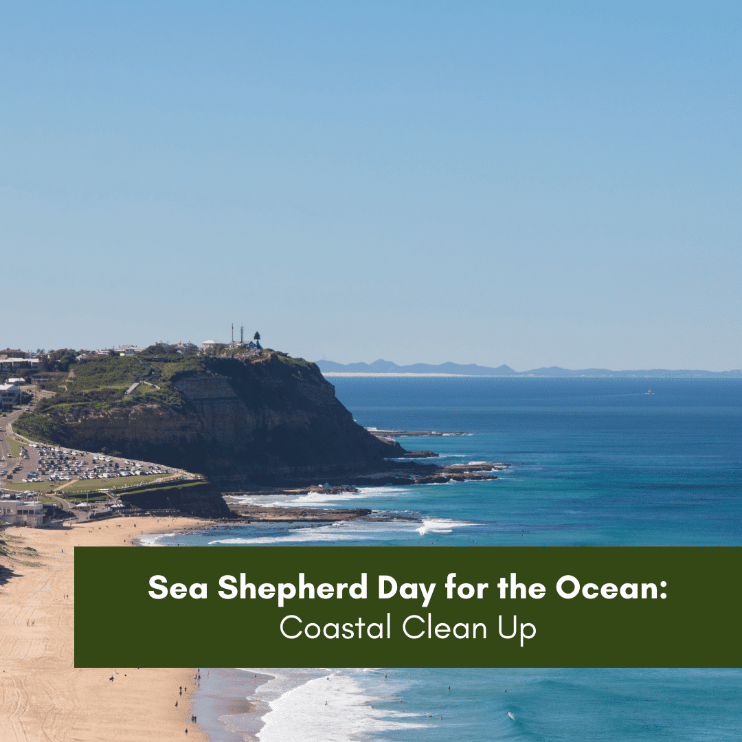 Sea Shepherd Day for the Ocean - Coastal Clean Up