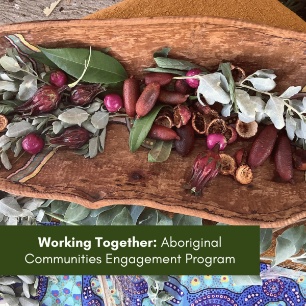 Working Together – Aboriginal Communities Engagement Program