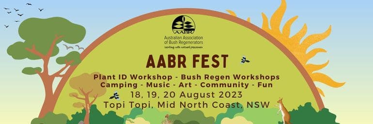 AABR Fest banner