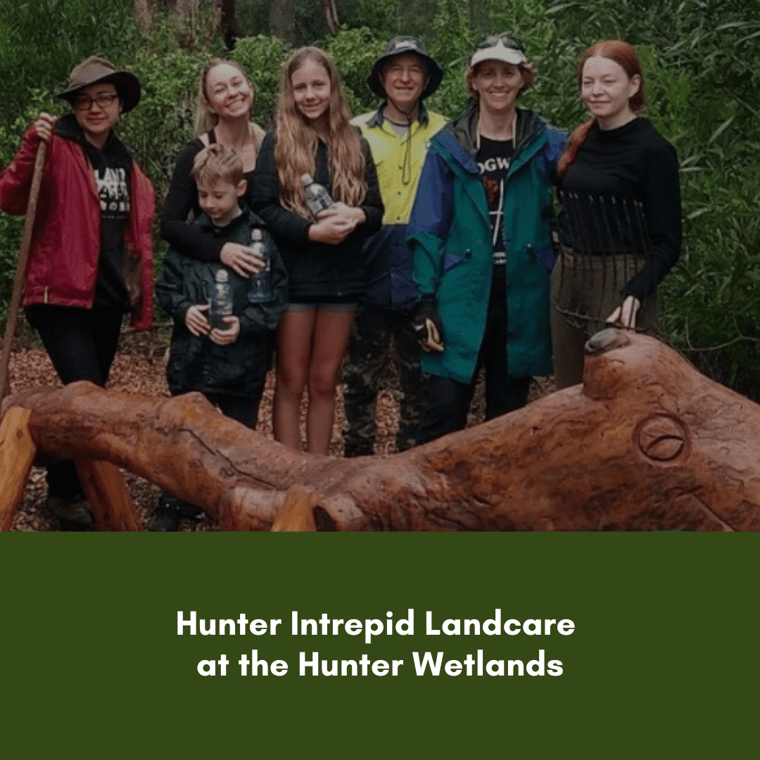 Hunter Intrepid Landcare at the Hunter Wetlands