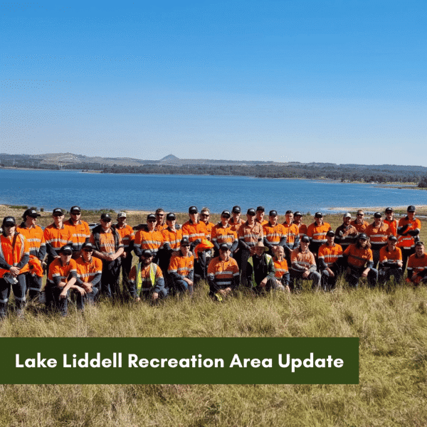 Lake Liddell Recreation Area Update