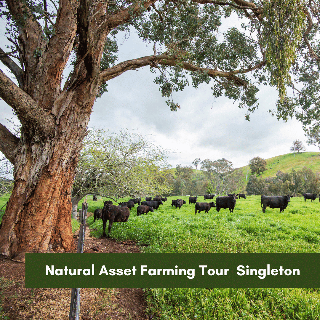 Natural Asset Farming Tour Singleton