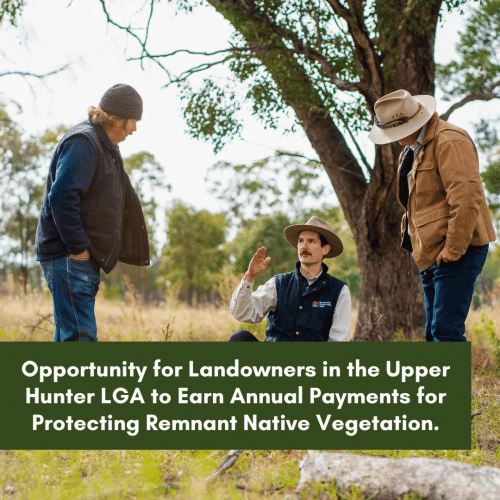 Opportunity for landowners in the Upper Hunter LGA to earn annual payments for protecting remnant native vegetation.